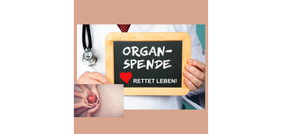 Design ohne Titel - 1