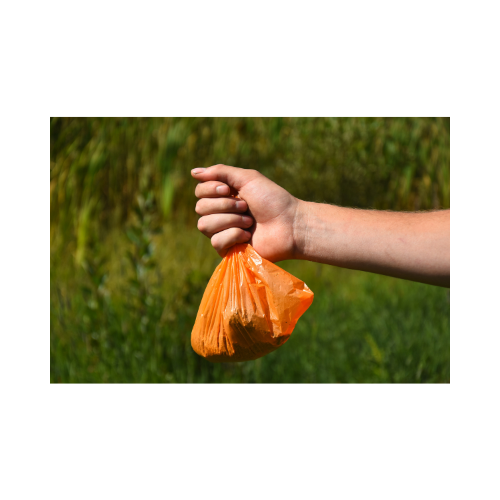 Design ohne Titel - 1