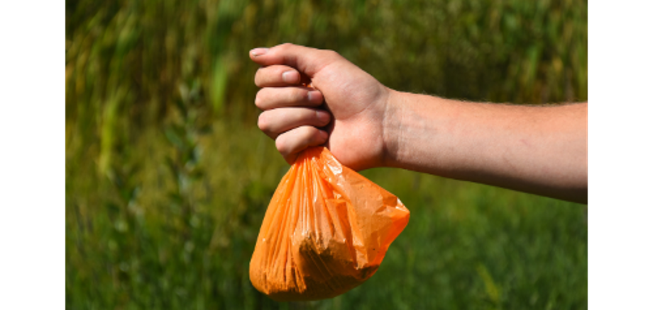 Design ohne Titel - 1