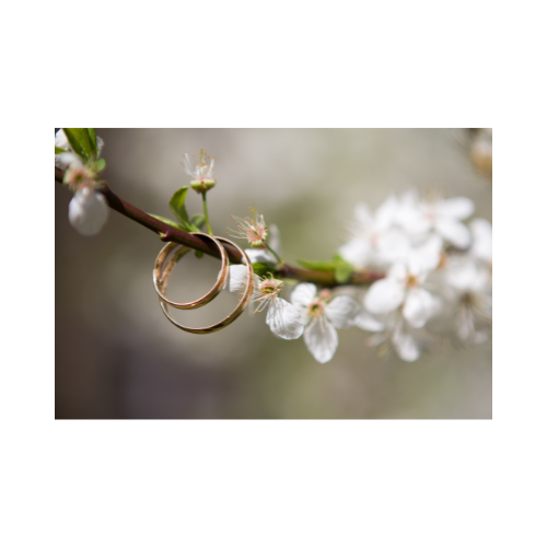 Design ohne Titel - 1